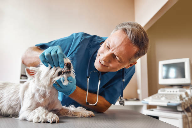 Best Walk-In Emergency Dentist in Cedar Creek, TX